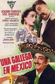 Poster do filme Una gallega en México