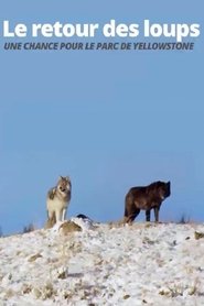 The Return of the Wolves: The Miracle in Yellowstone National Park movie poster
