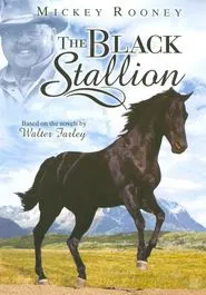 The New Adventures of the Black Stallion tv show poster