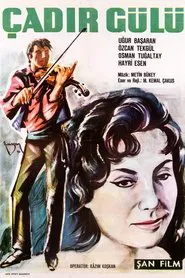 Çadır Gülü movie poster