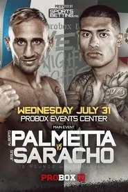 Alberto Palmetta vs. Jesus Saracho movie poster