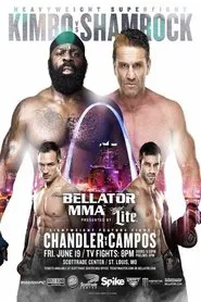 Bellator 138: Unfinished Business movie poster