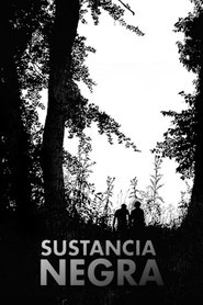Poster do filme Substância Negra