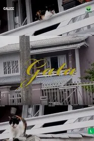 Gata movie poster