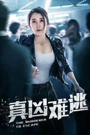真凶难逃 tv show poster