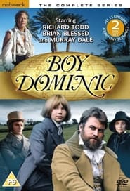 Poster da série Boy Dominic