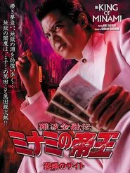 Poster do filme The King of Minami 28
