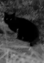 That's Not Me movie poster