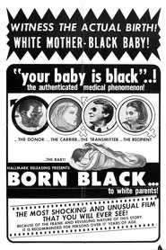 Born Black movie poster