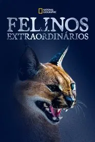 Poster do filme Felinos Extraordinários