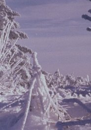 Roan Mountain Eulogy movie poster