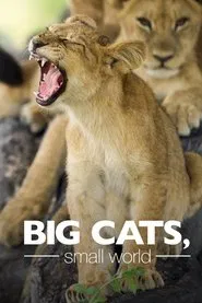 Big Cats Small World tv show poster