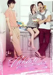I Need Romance tv show poster