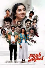 Mr. Pregnant movie poster