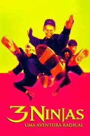 Poster do filme 3 Ninjas