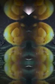 Poster do filme Howe Are You Island ?