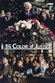 Color of Justice movie poster
