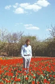 Poster do filme Tulip Field
