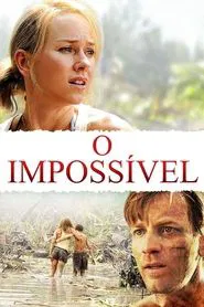 Poster do filme O Impossível