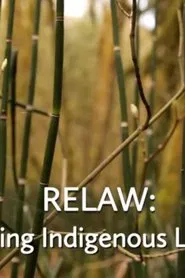 RELAW: Living Indigenous Laws movie poster