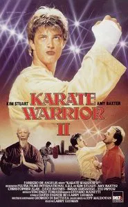 Poster do filme Karate Warrior 2