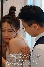 Poster da série 南总，夫人何罪之有