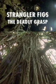 Poster do filme Strangler Figs: The Deadly Grasp