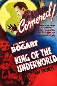 Poster do filme Contra a Lei