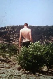 The Birds of Chernobyl movie poster