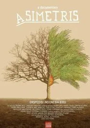 Asymmetric movie poster