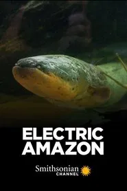 Electric Amazon movie poster