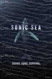 Sonic Sea movie poster
