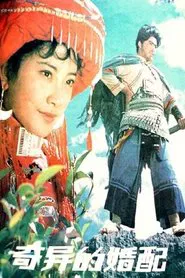 Poster do filme 奇异的婚配