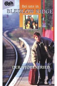 Poster do filme Der Störenfried