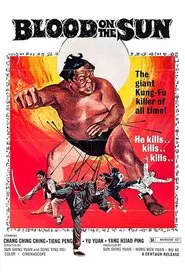 Poster do filme Combate de Dragões