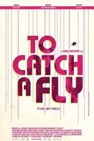 To Catch a Fly movie poster
