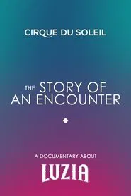 The Story Of An Encounter movie poster