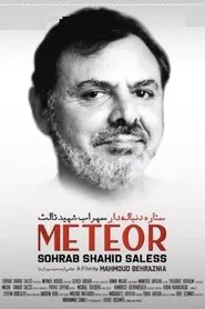 Meteor: Sohrab Shahid Saless movie poster