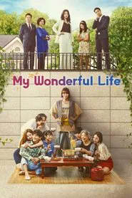 My Wonderful Life tv show poster