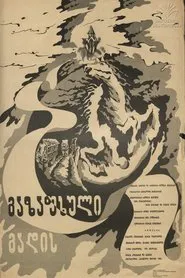 Spring is Passing movie poster