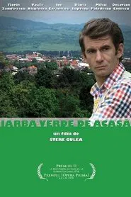 Poster do filme The Green Grass of Home