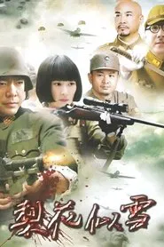 梨花似雪 tv show poster