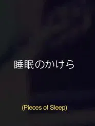 Pieces Of Sleep: The 1993 Japan Tour Re-Imagined movie poster