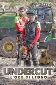 Undercut: l'oro di legno tv show poster