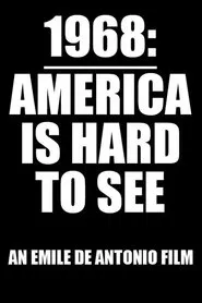 America Is Hard to See movie poster
