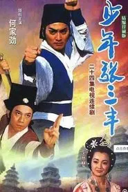 少年张三丰 tv show poster