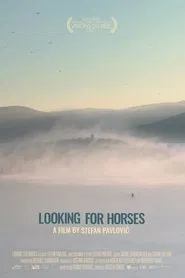 Looking for Horses movie poster