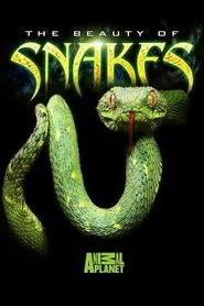 The Beauty of Snakes movie poster