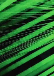 Poster do filme Water Spell