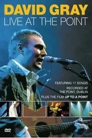 David Gray: Live at the Point movie poster